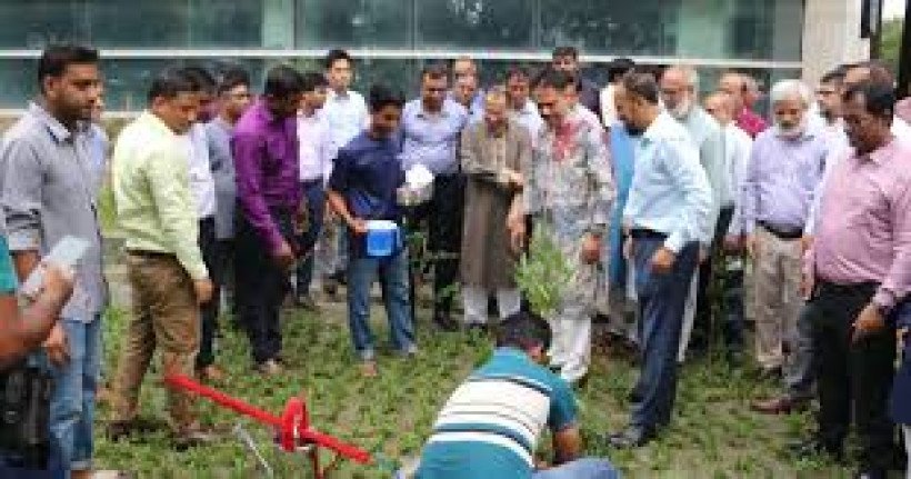 ‘জুলাই গণ-অভ্যুত্থান দিবস ২০২৫’ উদযাপন উপলক্ষ্যে  বৃক্ষরোপণ কর্মসূচি ও বিশেষ দোয়া মাহফিল অনুষ্ঠিত