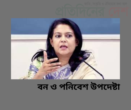 ইসলামাবাদে সাসটেইনেবল ডেভেলপমেন্ট কনফারেন্স   উন্নয়নশীল দেশগুলোকে মেগা প্রকল্পের পরিবর্তে মানুষকে অগ্রাধিকার দেওয়ার আহ্বান পরিবেশ উপদেষ্টার