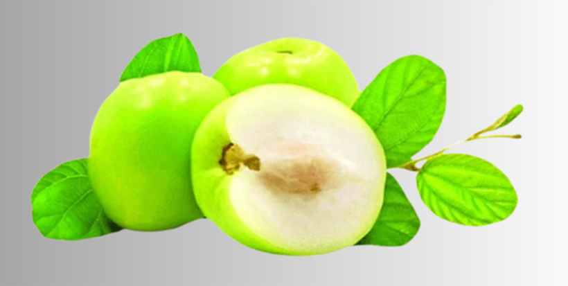 কুল বা বরইয়ের পুষ্টিগুণ ও পরিচর্যা