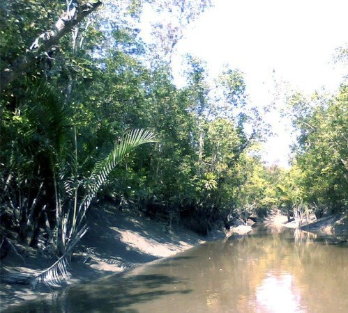 সুন্দরবনে ২০ জেলেকে অপহরণ করেছে জলদস্যুরা ; মুক্তিপণ দাবি