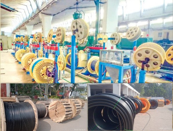 লাভজনক রাষ্ট্রায়ত্ত শিল্পের তালিকায় বিসিএসএল