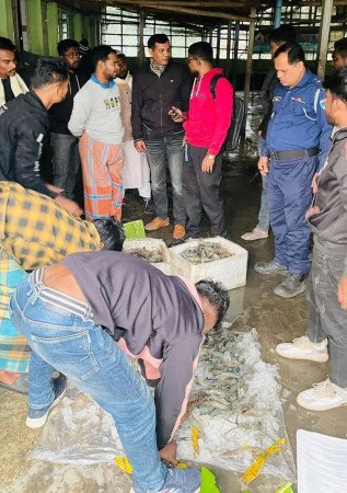 ফুলতলায় গলদা চিংড়িতে বিষাক্ত জেলি পুশ ; জরিমানা আদায়