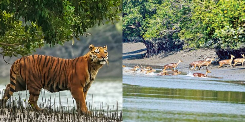 খুলনায় ভালোবাসা দিবসে সুন্দরবন দিবস পালিত