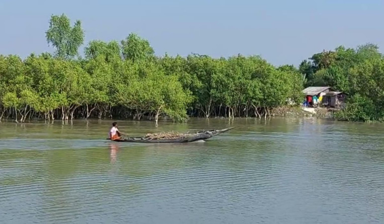 সুন্দরবনে ফের বনদস্যুদের তাণ্ডব, সাতক্ষীরা রেঞ্জ থেকে ৮ জেলে অপহরণ