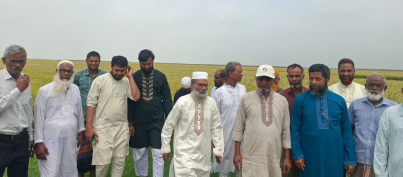 শিবগঞ্জের কয়েক হাজার বিঘা জমির বন্ধ কর চালু করতে মাঠ পরিদর্শন করলেন সংসদ সদস্য ডা.কেরামত আলী
