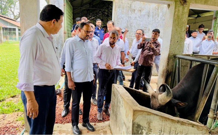প্রান্তিক জনগোষ্ঠীকে অর্থনৈতিকভাবে সমৃদ্ধ করতে সরকার কাজ করছে  ---মৎস্য ও প্রাণিসম্পদ প্রতিমন্ত্রী