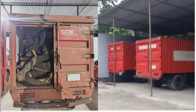 পিএমজি কার্যালয়ে কাটা সরকারি গাছ পাচারের প্রস্তুতির অভিযোগ
