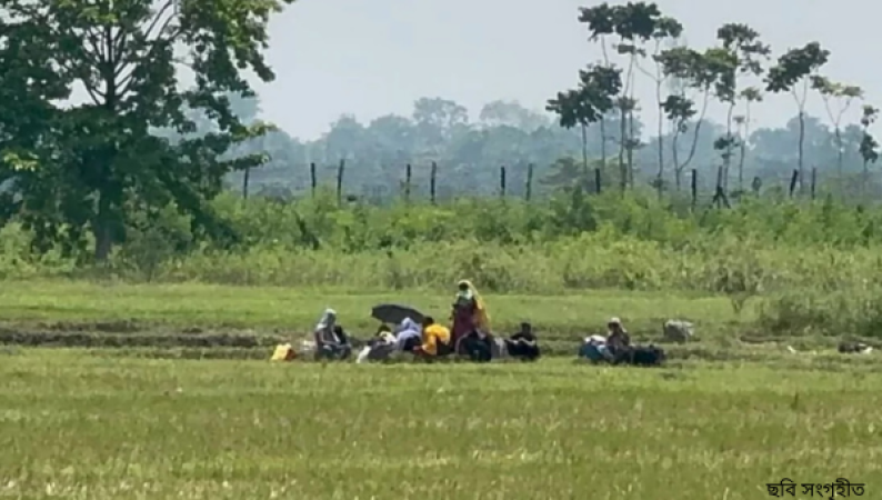 কাঁটাতারের খাঁচায় বন্দি মানবতা: বেনাপোল সীমান্তে পুশইনের মুখে একদল অভুক্ত মানুষ