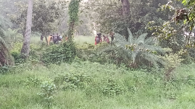 চাঁপাইনবাবগঞ্জ সীমান্তে ২৮ জনকে পুশ-ইন করল বিএসএফ, বিজিবির সতর্ক অবস্থান