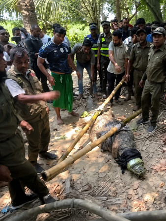 খানজাহান আলীর মাজারের দীঘির   শেষ কুমিরটি খুলনায় স্থানান্তর