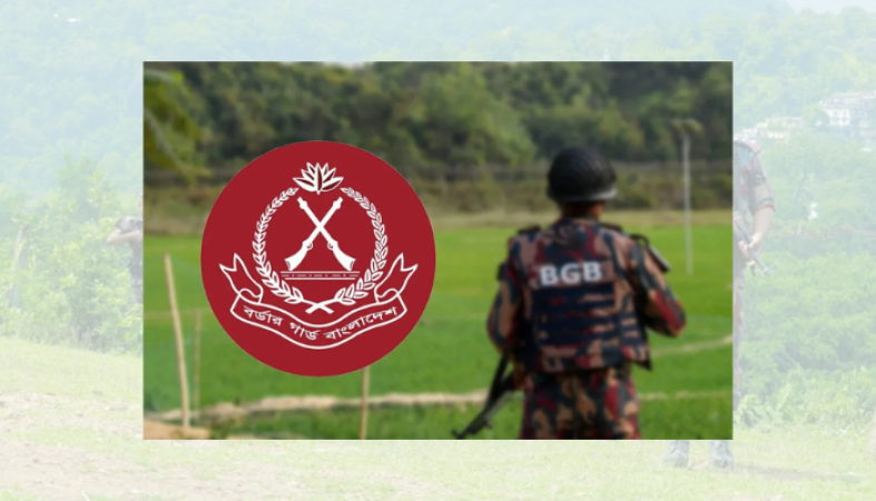 সীমান্তে বিএসএফের একাধিক পুশইন প্রচেষ্টা প্রতিহত করেছে বিজিবি