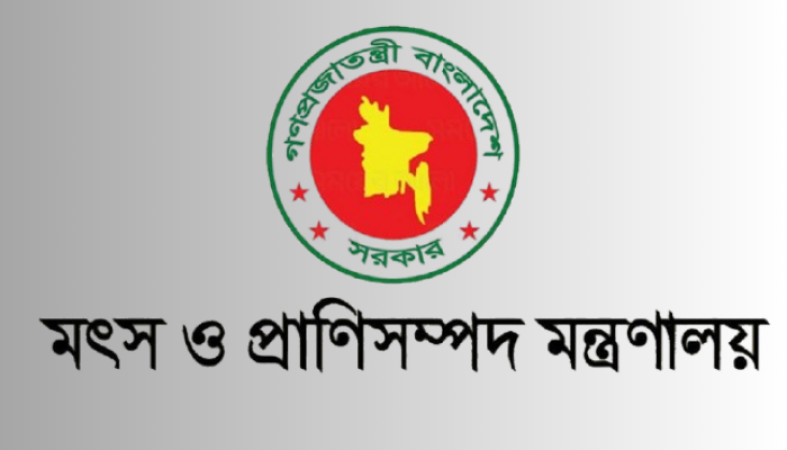 ভারতে আটকে থাকা ৯১ জন বাংলাদেশি মৎস্যজীবীকে ফিরিয়ে আনলো বাংলাদেশ