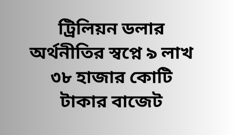 ট্রিলিয়ন ডলার অর্থনীতির লক্ষ্য সামনে রেখে আসছে নতুন বাজেট