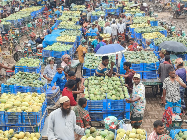 চাঁপাইনবাবগঞ্জে ২ হাজার কোটি টাকার আম বাণিজ্যের আশাবাদ, জমজমাট জেলার আম বাজার