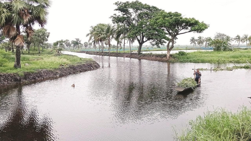 ডুমুরিয়ায় খাল খননে কোটি টাকা ব্যয়, জলাবদ্ধতা নিরসনে কার্যকারিতা নিয়ে প্রশ্ন