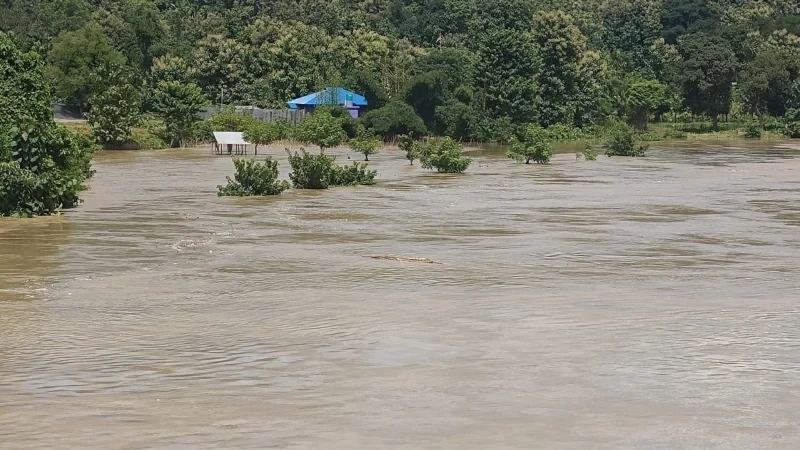 খাগড়াছড়িতে টানা বৃষ্টিতে নিম্নাঞ্চল প্লাবিত, সাজেক-লংগদু সড়কে যান চলাচল বন্ধ