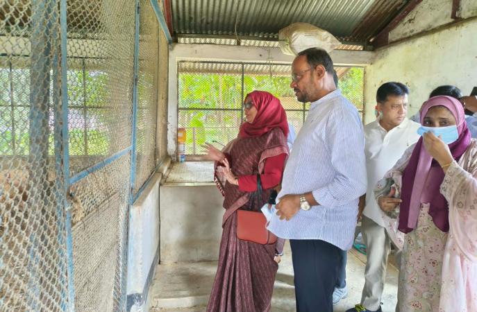 কেন্দ্রীয় মুরগি খামারে বাচ্চা উৎপাদন বাড়ানোর নির্দেশ প্রতিমন্ত্রীর