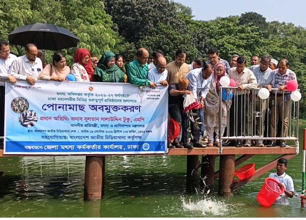দেশীয় মাছের উৎপাদন বাড়াতে সারাদেশে পোনামাছ অবমুক্তকরণ কার্যক্রম চলছে -মৎস্য ও প্রাণিসম্পদ প্রতিমন্ত্রী