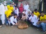 খুলনা শহরে কুকুরদের জলাতঙ্ক প্রতিষেধক কার্যক্রম শুরু