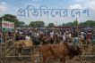 রাজধানীতে ‘কসাইয়ের রেট’ নিয়ে মধ্যবিত্তদের ভোগান্তি