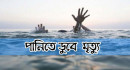 শিবগঞ্জে মর্মান্তিক দুর্ঘটনা: নদীতে ডুবে দুই শিক্ষার্থীর মৃত্যু