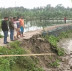 আতাই নদীর ভাঙন ভয়াবহ, বাঁধে ফাটল—আতঙ্কে ১০ গ্রামের মানুষ