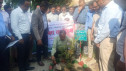 গোমস্তাপুরে বৃক্ষরোপণ কর্মসূচির উদ্বোধন