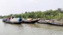 সুন্দরবনে বনদস্যু আতঙ্ক, ঋণের বোঝা নিয়েই প্রবেশের প্রস্তুতি বনজীবীদের
