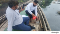 নারায়ণগঞ্জে নদীদূষণকারী শিল্পপ্রতিষ্ঠানে পরিবেশ অধিদপ্তরের অভিযান, বুড়িগঙ্গায় তরল বর্জ্যের নমুনা সংগ্রহ