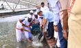 জিয়া উদ্যানে মাছের পোনা অবমুক্ত করলেন প্রধানমন্ত্রী তারেক রহমান